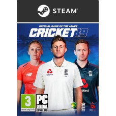 Cricket 19 – PC